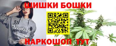 сатива Бийск
