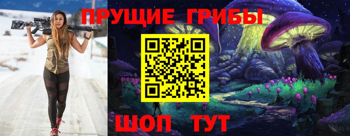 Псилоцибиновые грибы прущие грибы Новокуйбышевск